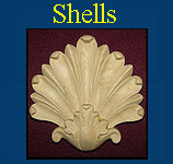 Carved Shells and shell appliques