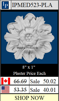IPMED523 Plaster