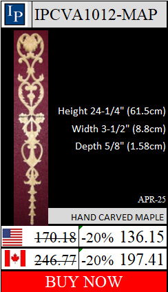 IPCVA1012 Full page and buy options