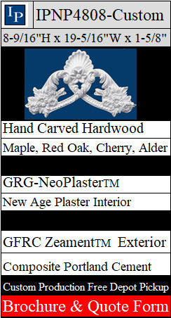 IPNP4808 Brochure and Quote Form