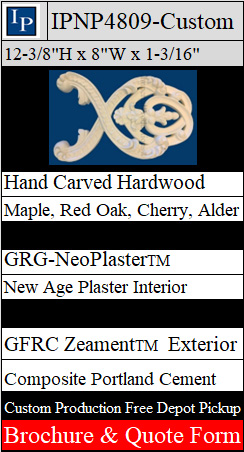 IPNP4809 Brochure and quote form