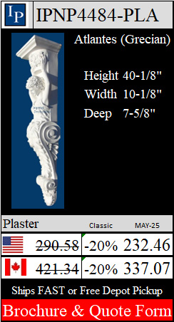 IPNP4484-PLA Brochure and Quote Form